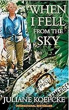 Cover of "When I Fell From the Sky"